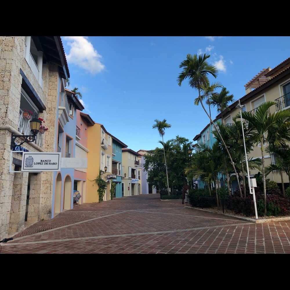 Meet your Posher, Amelia